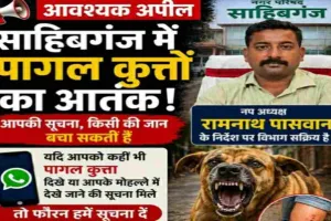 साहिबगंज में पागल कुत्तों का आतंक, पकड़कर देने वाले को मिलेगा ₹2000 इनाम