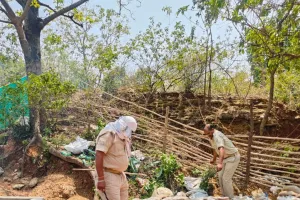 उत्पाद विभाग की बड़ी छापेमारी, अवैध शराब भट्टी ध्वस्त, 2000 किलो जावा महुआ और 90 लीटर शराब जब्त, एक गिरफ्तार