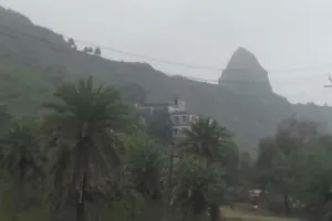 गंगा और डॉल्फिन संरक्षण पर NGT में सुनवाई, अरशद नसर को मिला एक माह का समय