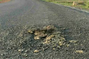 Sahebganj News: 10 दिन में ही दम तोड़ गई पलटनिया रोड, शहर की सड़क पर उठे सवाल  