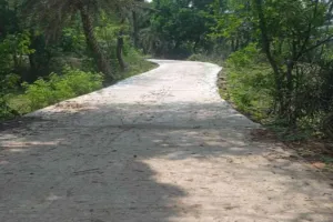Pakur News: भ्रष्टाचार की भेंट चढ़ी सड़क, फतेहपुर में 6 महीने में ही दम तोड़ने लगी नई पीसीसी सड़क