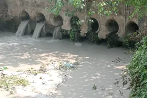 बोकारो थर्मल पावर स्टेशन से फिर दामोदर नदी में प्रदूषण का आरोप, सरयू राय ने मांगी कार्रवाई
