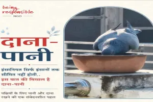 बेज़ुबानों को पिला रहे पानी, इंसानियत की मिसाल बनी “दाना-पानी” पहल