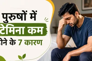 पुरुषों में स्टेमिना कम होने के 7 कारण