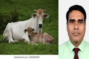 क्या गाय को ‘राष्ट्रीय पशु’ घोषित करना सही होगा? जानिए पक्ष और विपक्ष