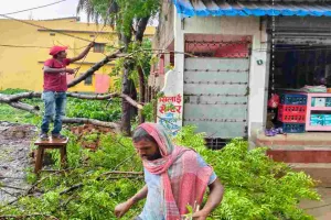 Sahebganj News: आंधी-बारिश का कहर: बिजली के तारों पर गिरा नीम का पेड़, आपूर्ति ठप