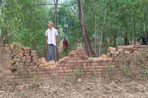 Giridih News: 30 हाथियों के झुंड ने किसानों की 8 एकड़ फसल रौंदी, घरों को पहुंचाया नुकसान