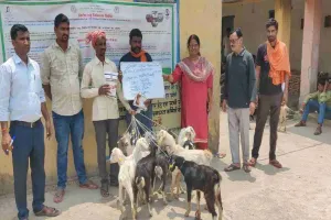 Koderma News: मुख्यमंत्री पशुधन विकास योजना की धूम, लाभुकों के बीच बकरे और ब्रॉयलर मुर्गी का वितरण