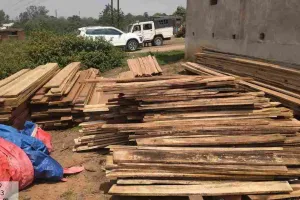 Koderma News: वन विभाग की अब तक की सबसे बड़ी कार्रवाई, एसपी आवास के पीछे घर में चल रहे अवैध लकड़ी गोदाम का भंडाफोड़