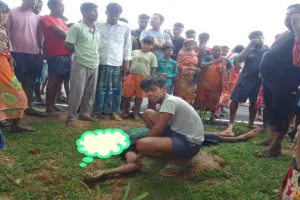 Jamtara News: वज्रपात ने उजाड़ा परिवार, दो मासूम बच्चों के सिर से उठा पिता का साया
