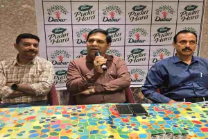 गर्मी में गैस और अपच से परेशान हैं? पुदीना दे सकता है राहत, जानिए फायदे