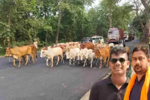 झारखंड में गौ तस्करी पर बड़ा प्रहार, 48 गौवंश को सुरक्षित छुड़ाया गया