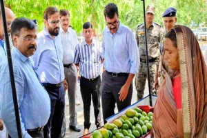 Koderma News: समाहरणालय में पलाश मार्ट कैनोपी स्टॉल का आगाज, बिरसा हरित ग्राम योजना के आमों की मची धूम