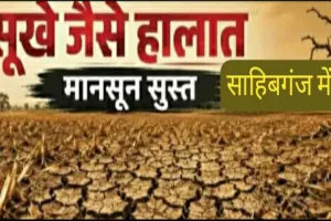 खेत प्यासे, किसान बेहाल: साहिबगंज में धान रोपनी पर सूखे का साया