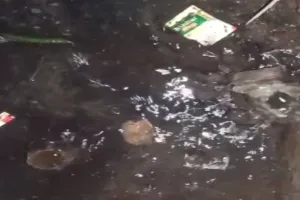 टूटी पाइपलाइन बनी मुसीबत, वार्ड-19 में पेयजल संकट गहराया