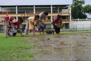 पश्चिमी सिंहभूम टी-20 से पहले चाईबासा स्टेडियम के विकेट पर लगी बारमूडा घास