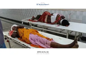 Dumka News: जामा के पन्दनपहाड़ी के पास दर्दनाक सड़क हादसा, मवेशी को बचाने के प्रयास में पलटा वाहन