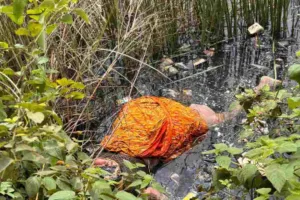 Koderma News: डीवीसी केटीपीएस प्लांट परिसर में महिला का शव मिलने से मचा भारी बवाल