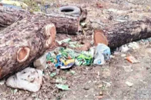 Sahebganj News: वन विभाग के आश्वासन के बाद भी गायब हुई लकड़ी, ग्रामीणों में भारी आक्रोश