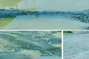 Sahibganj News: महादेवगंज के दारा मोड़ सड़क की बदहाली से लोग परेशान, यातायात और व्यापार प्रभावित