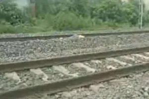 Sahibganj News: ट्रेन की चपेट में आने से युवक की मौत, परिजनों ने पुलिस को सूचना दिए बिना किया अंतिम संस्कार