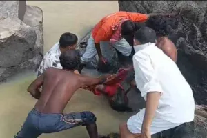 Lohardaga News: कोयल नदी में पत्थरों के बीच फंसा मिला महिला का शव, गुरुवार से थी लापता