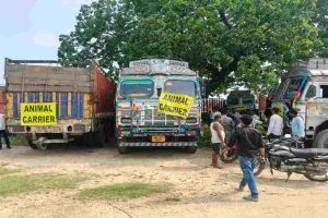 Hazaibagh News: जीटी रोड पर मवेशियों से लदे 21 ट्रक जब्त, सुरक्षा जांच पर उठे सवाल