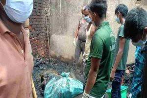 Giridih News: जमुआ में आधी रात भीषण आग, पांच मवेशियों की जलकर मौत; करीब 4 लाख का नुकसान