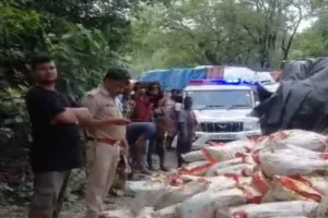 Koderma News: घाटी के नौवां माइल में ब्रेक फेल होने से चावल लदा ट्रक दुर्घटनाग्रस्त