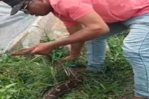 Dumka News: खासिया गांव में निकला 7 फीट लंबा विशालकाय अजगर, मचा हड़कंप