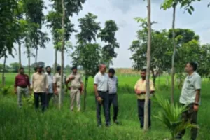 Sahibganj News: राजमहल प्रखंड में उप विकास आयुक्त ने किया विकास योजनाओं का निरीक्षण
