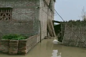 Sahebganj News: दियारा क्षेत्र के चासा टोला में गंगा के कहर से डूबे दर्जनों मकान