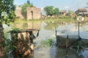 Sahibganj News: उधवा में गंगा का कहर, शांति मोड़ तक पहुंचा बाढ़ का पानी; सड़क पर 3 फीट पानी