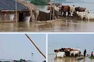 Sahibganj News: उत्तरवाहिनी गंगा बनी अभिशाप, गदाई दियारा सहित 14 गांवों में जिंदगी पानी-पानी