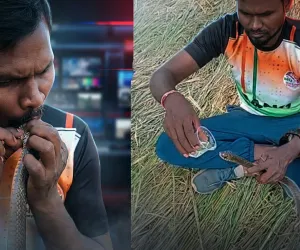 वलसाड में युवक ने मुंह-से-मुंह CPR देकर सांप को बचाया, वीडियो वायरल