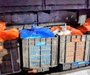 धनबाद में बड़ी कार्रवाई, बस से 1400 किलो नकली पनीर और 90 किलो नकली घी बरामद