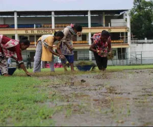 पश्चिमी सिंहभूम टी-20 से पहले चाईबासा स्टेडियम के विकेट पर लगी बारमूडा घास