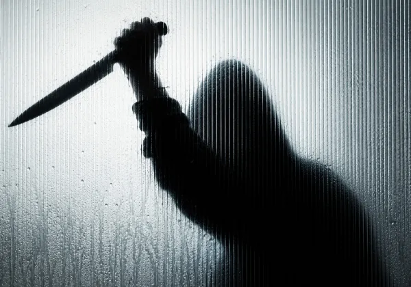 Bengaluru Triple Murder Case: लिव-इन पार्टनर के लिए बेटी बनी कातिल? माता-पिता और बहन की हत्या से सनसनी