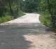 Pakur News: भ्रष्टाचार की भेंट चढ़ी सड़क, फतेहपुर में 6 महीने में ही दम तोड़ने लगी नई पीसीसी सड़क
