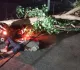 पलामू में आंधी-पानी का कहर, पेड़ गिरने से दो की मौत; रेलवे परिचालन भी प्रभावित