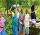 Pakur News: आजादी के दशकों बाद भी मूलभूत सुविधाओं से वंचित है आदिम जनजाति बहुल छूरीधारी गांव