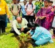 Sahibganj News: मॉडल कॉलेज राजमहल में प्रेमचंद जयंती पर वृक्षारोपण, साहित्य और पर्यावरण संरक्षण का दिया संदेश