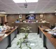 Giridih News: उपायुक्त रामनिवास यादव ने कल्याण विभाग की समीक्षा कर योजनाओं में तेजी का दिया निर्देश