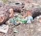 Sahebganj News: वन विभाग के आश्वासन के बाद भी गायब हुई लकड़ी, ग्रामीणों में भारी आक्रोश