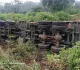 Dumka News: रामगढ़ में एक ही सुबह हुए दो अलग-अलग सड़क हादसे, मची अफरा-तफरी