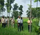 Sahibganj News: राजमहल प्रखंड में उप विकास आयुक्त ने किया विकास योजनाओं का निरीक्षण