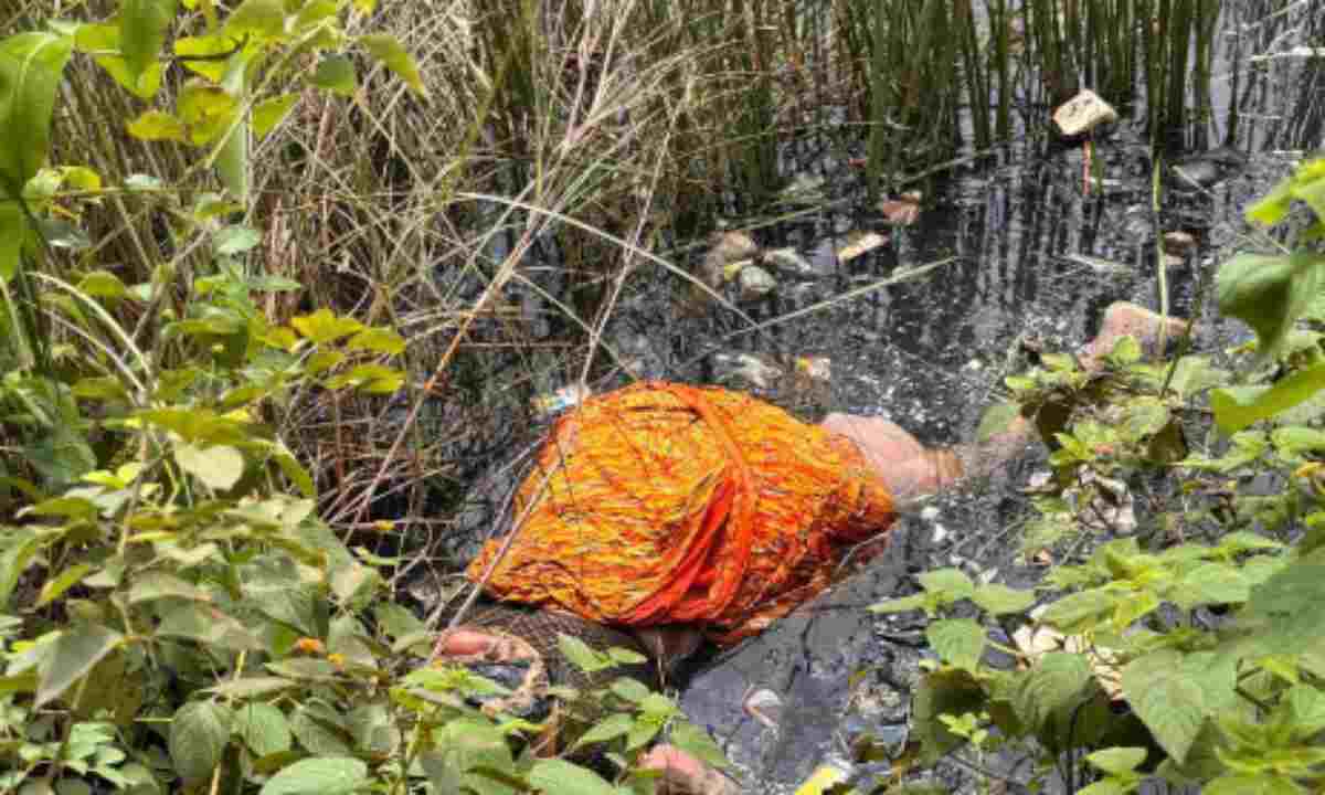 Koderma News: डीवीसी केटीपीएस प्लांट परिसर में महिला का शव मिलने से मचा भारी बवाल