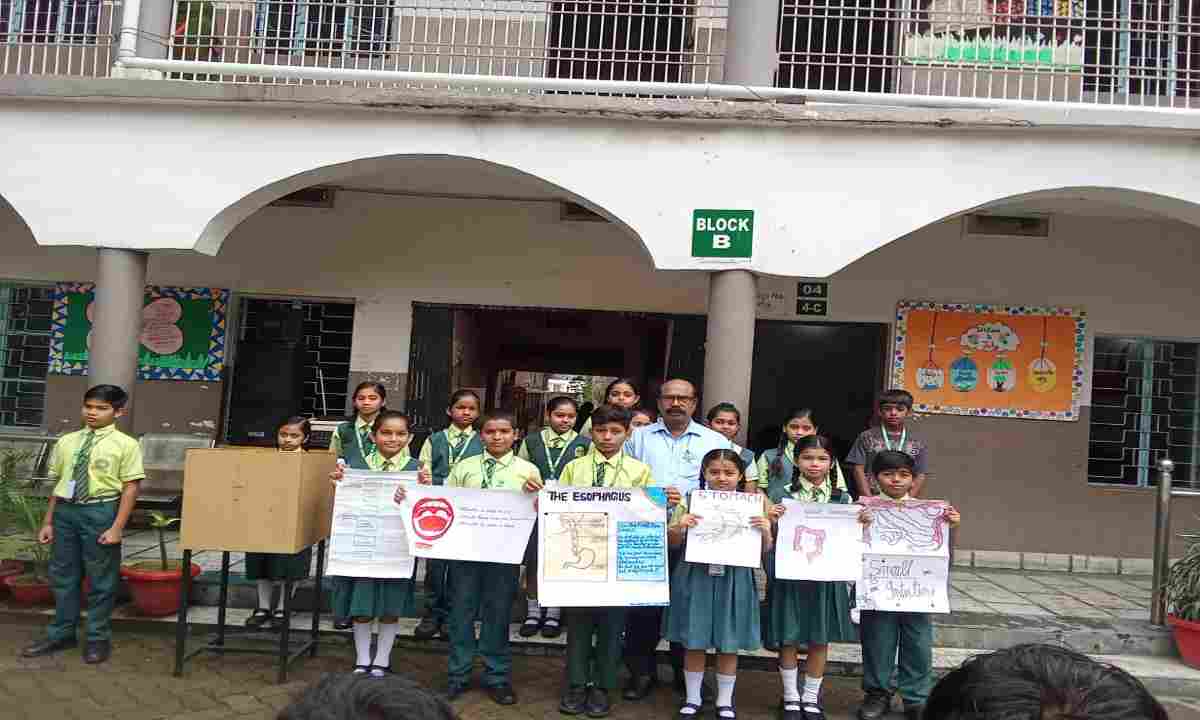 Koderma News: सेक्रेड हार्ट स्कूल में प्रोजेक्ट बेस्ड लर्निंग, विद्यार्थियों ने पेश किए आकर्षक विज्ञान मॉडल